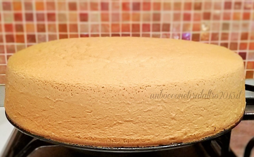 pan di spagna